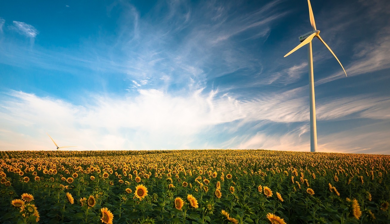 esg-in-ecommerce (1)